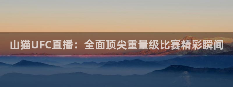 9255tv直播nba在线观看：山猫UFC直播：全面顶尖重量级比赛精彩瞬间