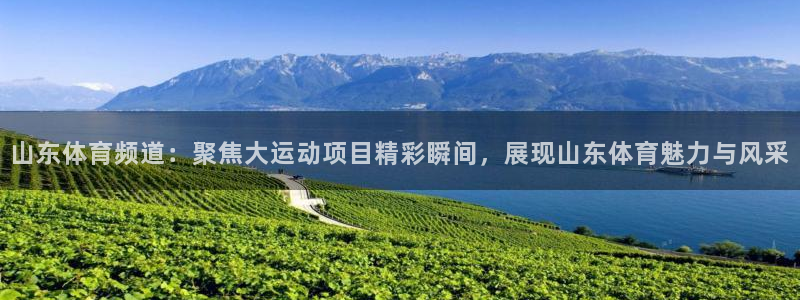 9255tv直播无插件nba：山东体育频道：聚焦大运动项目精彩瞬间，展现山东体育魅力与风采