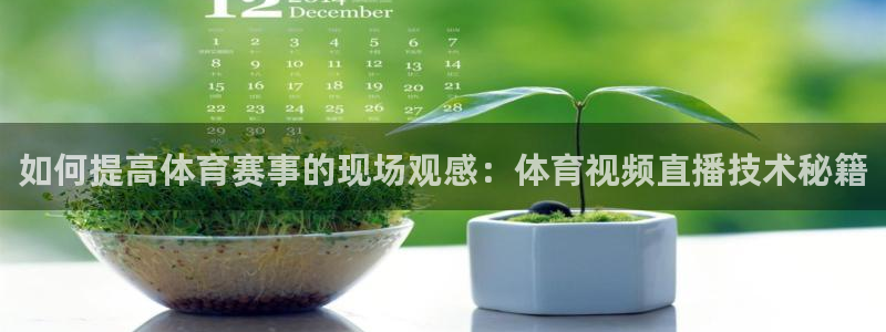 9255tv直播nba在线直播：如何提高体育赛事的现场观感：体育视频直播技术秘籍