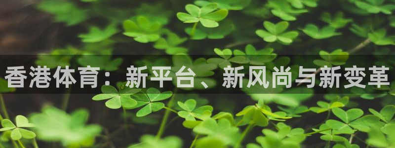 9255tv直播nba在线观看：香港体育：新平台、新风尚与新变革