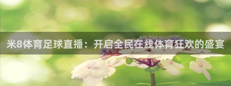 9255tv直播nba在线观看：米8体育足球直播：开启全民在线体育狂欢的盛宴