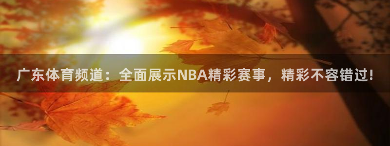 9255tv直播nba在线直播：广东体育频道：全面展示NBA精彩赛事，精彩不容错过!