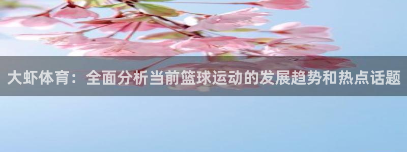 9255tv直播nba在线观看：大虾体育：全面分析当前篮球运动的发展趋势和热点话题