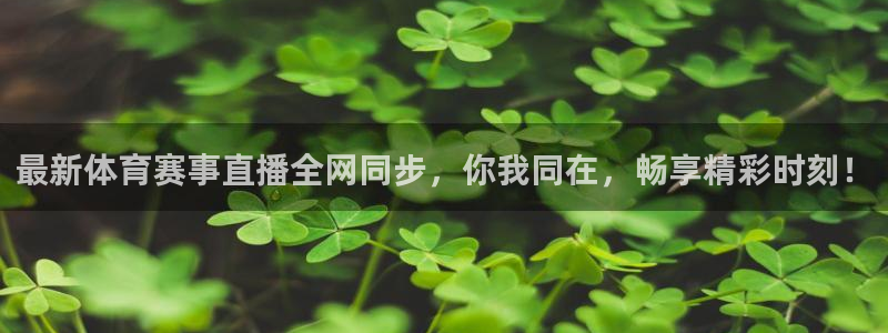 9255tv直播nba在线观看：最新体育赛事直播全网同步，你我同在，畅享精彩时刻！