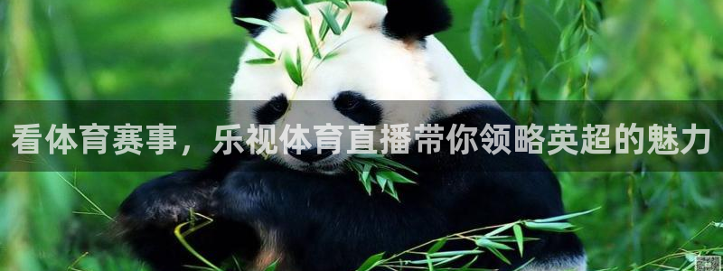 9255tv直播nba在线直播：看体育赛事，乐视体育直播带你领略英超的魅力