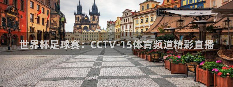9255tv直播nba在线直播：世界杯足球赛：CCTV-15体育频道精彩直播