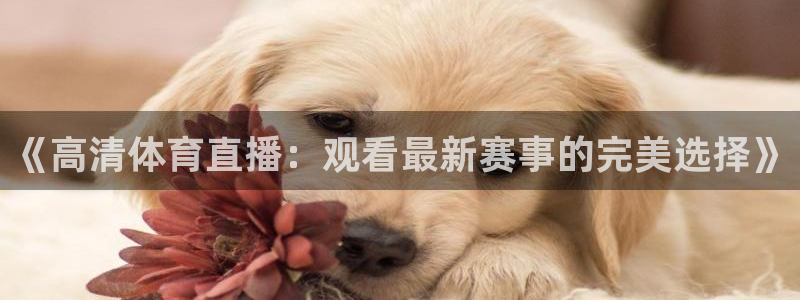 9255tv直播nba在线观看：《高清体育直播：观看最新赛事的完美选择》