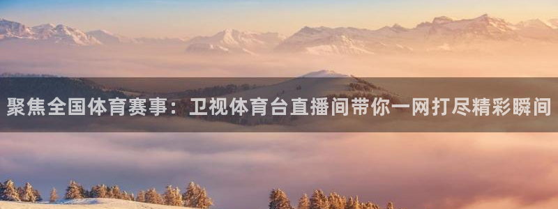 9255tv直播nba在线观看：聚焦全国体育赛事：卫视体育台直播间带你一网打尽精彩瞬间