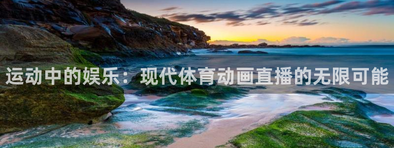 9255tv直播nba在线观看：运动中的娱乐：现代体育动画直播的无限可能
